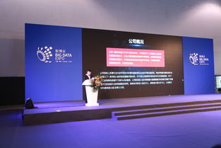 北京飛搜科技閃耀亮相2018年貴州數(shù)博會，引領(lǐng)信息技術(shù)咨詢服務(wù)新浪潮